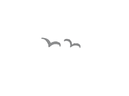 two birds