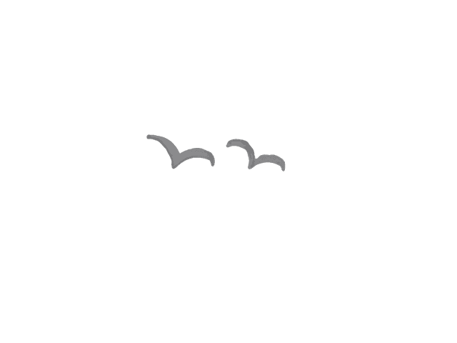 two birds
