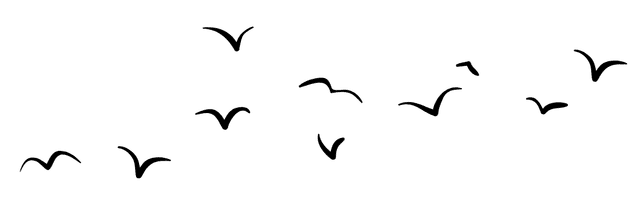 bird